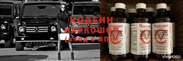 индика Балабаново