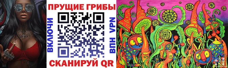 Псилоцибиновые грибы ЛСД  Купить закладки  Ревда 